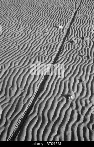 Des traces de pneus de vélo sur le sable de la plage Banque D'Images