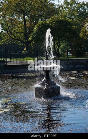 L'étang aux nénuphars et fontaine dans Haigh country park, Wigan Banque D'Images