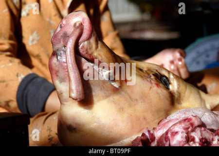 L'après-midi le soleil brille sur la tête d'un cochon mort dans un marché à Kratié, au Cambodge. Banque D'Images