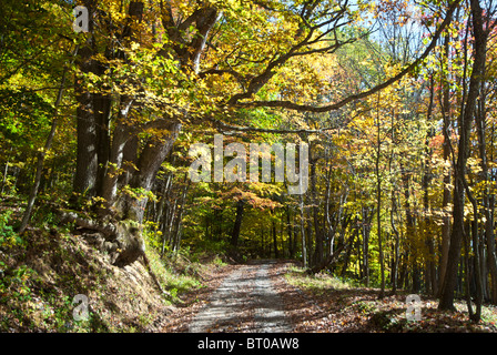 Après-midi d'Automne tranquille dans West Virginia Banque D'Images