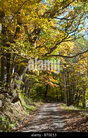 Après-midi d'Automne tranquille dans West Virginia Banque D'Images