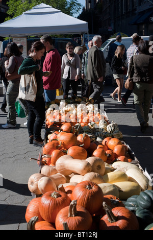 Les citrouilles et autres cucurbitacées dans l'Union Square Greenmarket à New York le mercredi, Octobre 13, 2010. (© Richard B. Levine) Banque D'Images