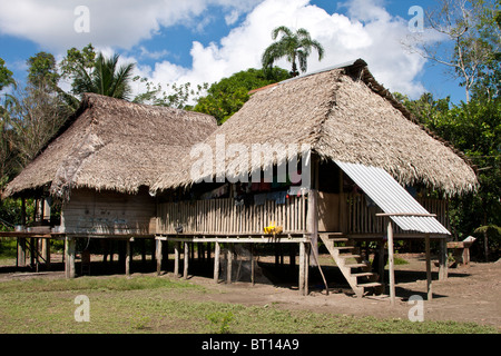 Maison traditionnelle le long du fleuve Napo, Equateur Banque D'Images