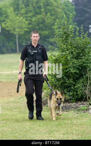 Conducteur de chien de police avec un alsacien cherche une zone de Bedford après une attaque, Bedfordshire, England UK Banque D'Images