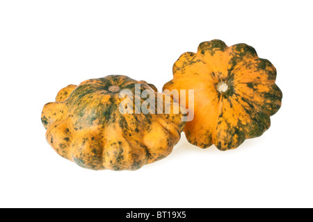 Deux courges festonnée de couleur bigarrée isolated on white Banque D'Images