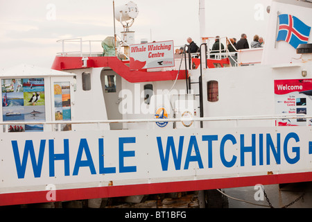 Des bateaux d'observation des baleines dans la région de Reykjavik, Islande, Banque D'Images