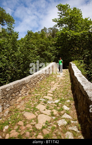 Puente Romano Mirones estilo Barroco y rio Miera Cantabria España pont romain Mirones style Baroque rivière Miera Cantabria espagne Banque D'Images