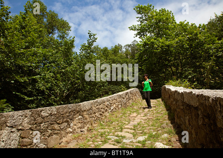 Puente Romano Mirones estilo Barroco y rio Miera Cantabria España pont romain Mirones style Baroque rivière Miera Cantabria espagne Banque D'Images