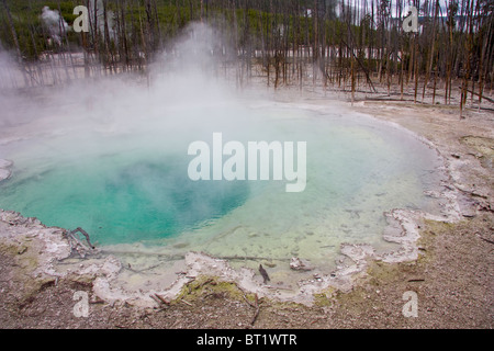 Cistern Spring, Norris Geyser Basin, Parc National de Yellowstone, États-Unis Banque D'Images