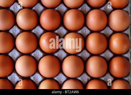 Les œufs de poule zone modèle de lignes de fond de l'alimentation Banque D'Images