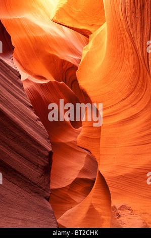 Formation de grès à Lower Antelope Canyon, Slot Canyon, Arizona, USA Banque D'Images