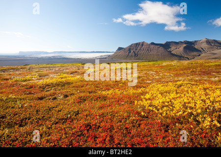 Le glacier Skeidararjokull descendant de la calotte glaciaire de Vatnajokull dans Icleand Banque D'Images