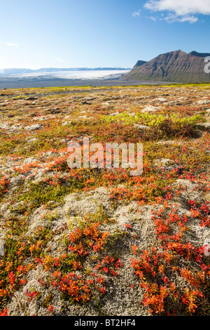 Le glacier Skeidararjokull descendant de la calotte glaciaire de Vatnajokull dans Icleand Banque D'Images