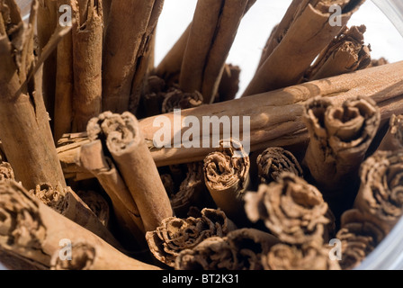 Lot de bâtons de cannelle dans un vase lumineux Banque D'Images