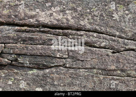 Surface d'une roche de granit couvert d'un lichen - contexte Banque D'Images