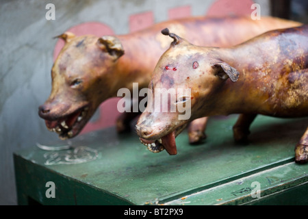 La viande de chien en vente à Hanoi Vietnam Banque D'Images