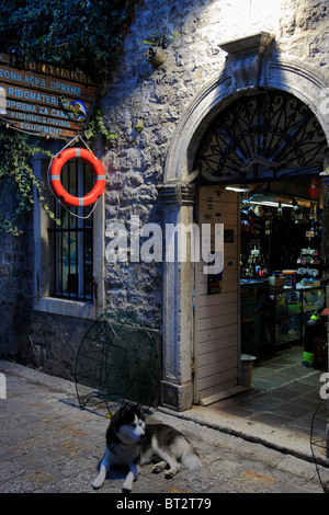 Le Monténégro, Budva, Vieille Ville, scène de rue la nuit, Banque D'Images