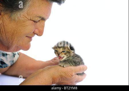 Senior woman holding kitten - Fond blanc Banque D'Images