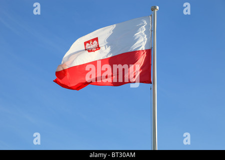 Drapeau national polonais dans le ciel. Banque D'Images