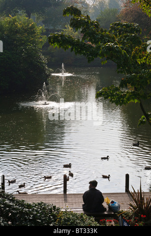 Autumnn un matin dans le Quarry Park, Dingle, Shrewsbury. Banque D'Images