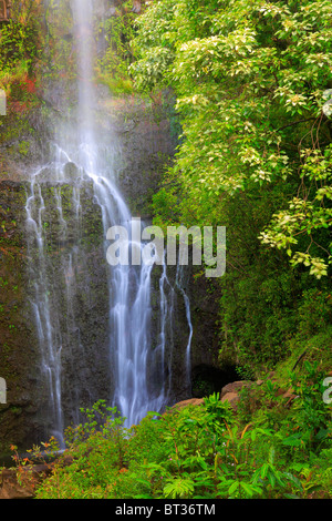 Cascade le long de la route de Hana sur le côté nord de Maui à Hawaii, USA Banque D'Images