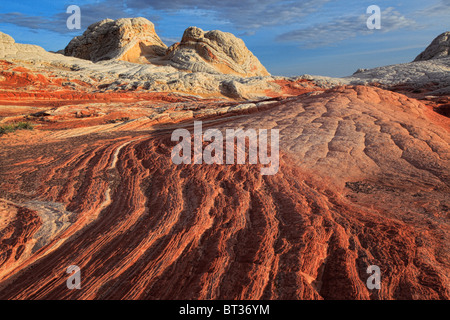 Les crêtes de grès à White Pocket à Vermilion Cliffs National Monument, Arizona Banque D'Images