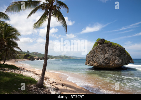 Mushroom Rock, Bethsabée, Barbados, West Indies, célèbre à cause de l'érosion inhabituelle à la base de la roche Banque D'Images
