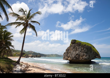 Mushroom Rock, Bethsabée, Barbados, West Indies, célèbre à cause de l'érosion inhabituelle à la base de la roche Banque D'Images