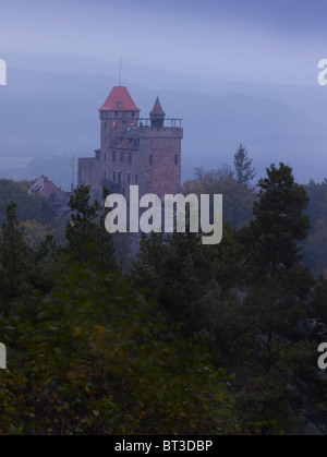 Château fort Berwartstein,Allemagne Banque D'Images