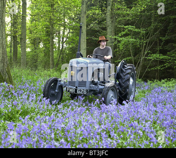 Un tracteur Ferguson 1948 Plateau travaillent encore dans le Sussex. Connu comme un peu gris fergy (Fergie) il a été conçu par Harry Ferguson Banque D'Images