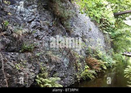 Les couleurs magnifiques ornent ce rock face aux côtés du canal de Llangollen,la carrière de pépinière fonctionne en ardoise est à proximité. Banque D'Images