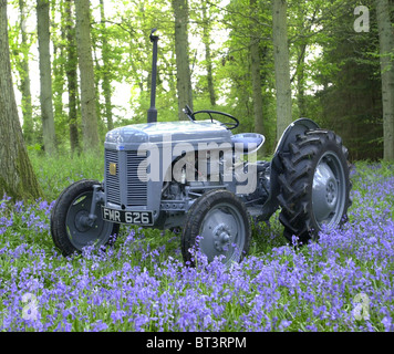 Un tracteur Ferguson 1948 Plateau travaillent encore dans le Sussex. Connu comme un peu gris fergy (Fergie) il a été conçu par Harry Ferguson Banque D'Images