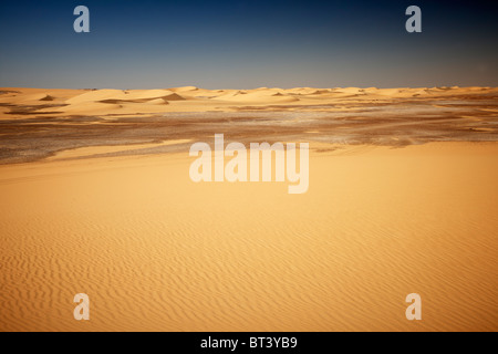 Paysage désertique près de Dakhla Oasis, désert occidental, en Egypte, en Arabie, en Afrique Banque D'Images