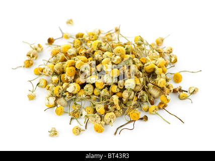 Des tas d'herbes médicinales camomille bourgeons jaunes sur fond blanc Banque D'Images