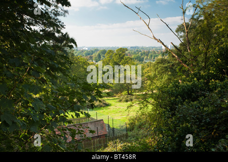 Vue sur la vallée de la Tamise de Poets Corner à Richmond Park, Surrey, UK Banque D'Images