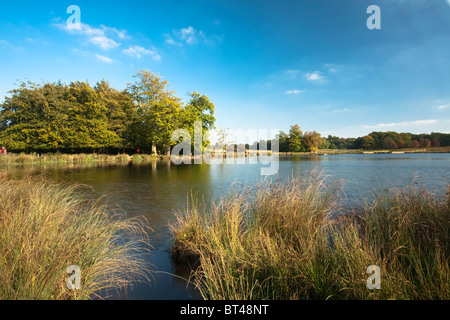 Les étangs Pen à Richmond Park à l'automne, Surrey, UK Banque D'Images