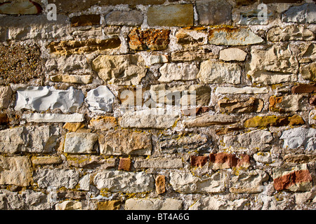 Mur en pierres naturelles Banque D'Images