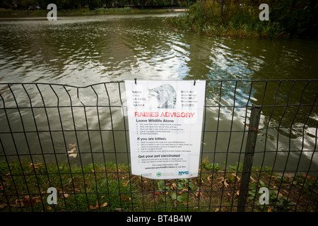 Un signe Attention visiteurs à l'Harlem Meer dans Central Park à New York sur le danger de la rage Banque D'Images