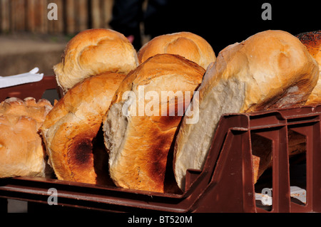 Miches de pain sur stand à Deddington Farmers Market, Oxfordshire Banque D'Images