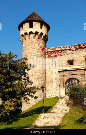 Les murs du château de Buda et fortifications, Budapest, Hongrie Banque D'Images