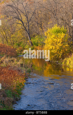 Peinture Big Creek, rivière Jaune State Forest, le long de la région non glaciée Scenic Byway, Allamakee Comté (Iowa) Banque D'Images