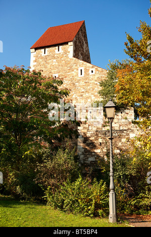 Les murs du château de Buda et fortifications, Budapest, Hongrie Banque D'Images