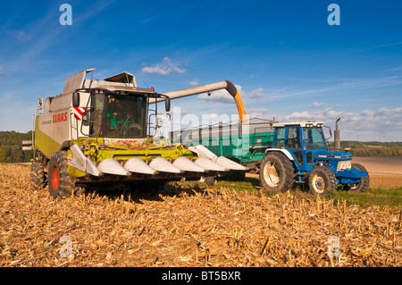 Rendmt Lexion moissonneuse-batteuse Claas 540 déchargement / Maïs Maïs doux récolte - Indre-et-Loire, France. Banque D'Images