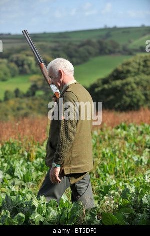 Homme portant un fusil de chasse dans le chou frisé, sur un shoot de faisan Banque D'Images