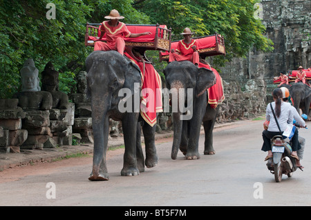 Elephant se déplace sur le pont menant à la victoire à Angkor Thom, au Cambodge Banque D'Images