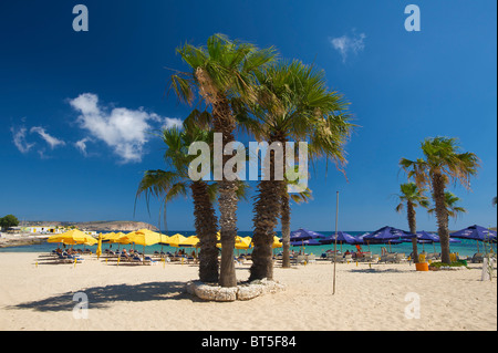 Bay Armier, Malte Banque D'Images