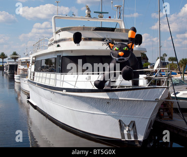 Le chat dans le yacht de luxe sur le lac Monroe au Port de Sanford en Floride Banque D'Images