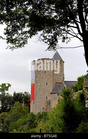 La fortess du faucon noir,Montbazon château,Indre-et-Loire, Touraine, France, près de Tours Banque D'Images