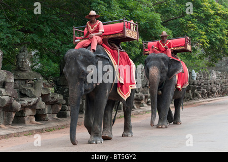 Elephant se déplace sur le pont menant à la victoire à Angkor Thom, au Cambodge Banque D'Images