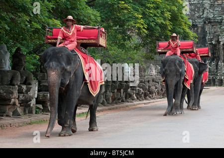 Elephant se déplace sur le pont menant à la victoire à Angkor Thom, au Cambodge Banque D'Images